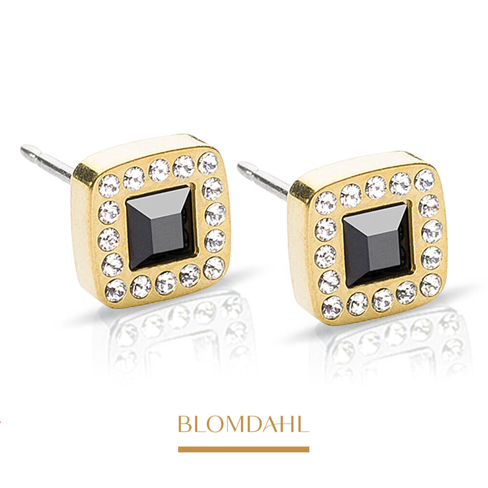 Brilliance Cushion Crystal/ Black 8 mm SFJ